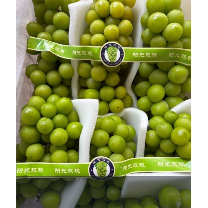 

Anggur Shine Muscat Curah 4,5kg