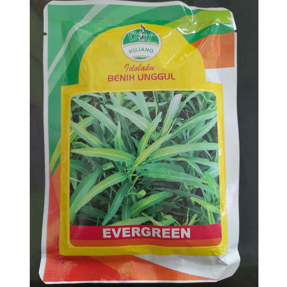 

Benih Kangkung Evergreen - 100gr
