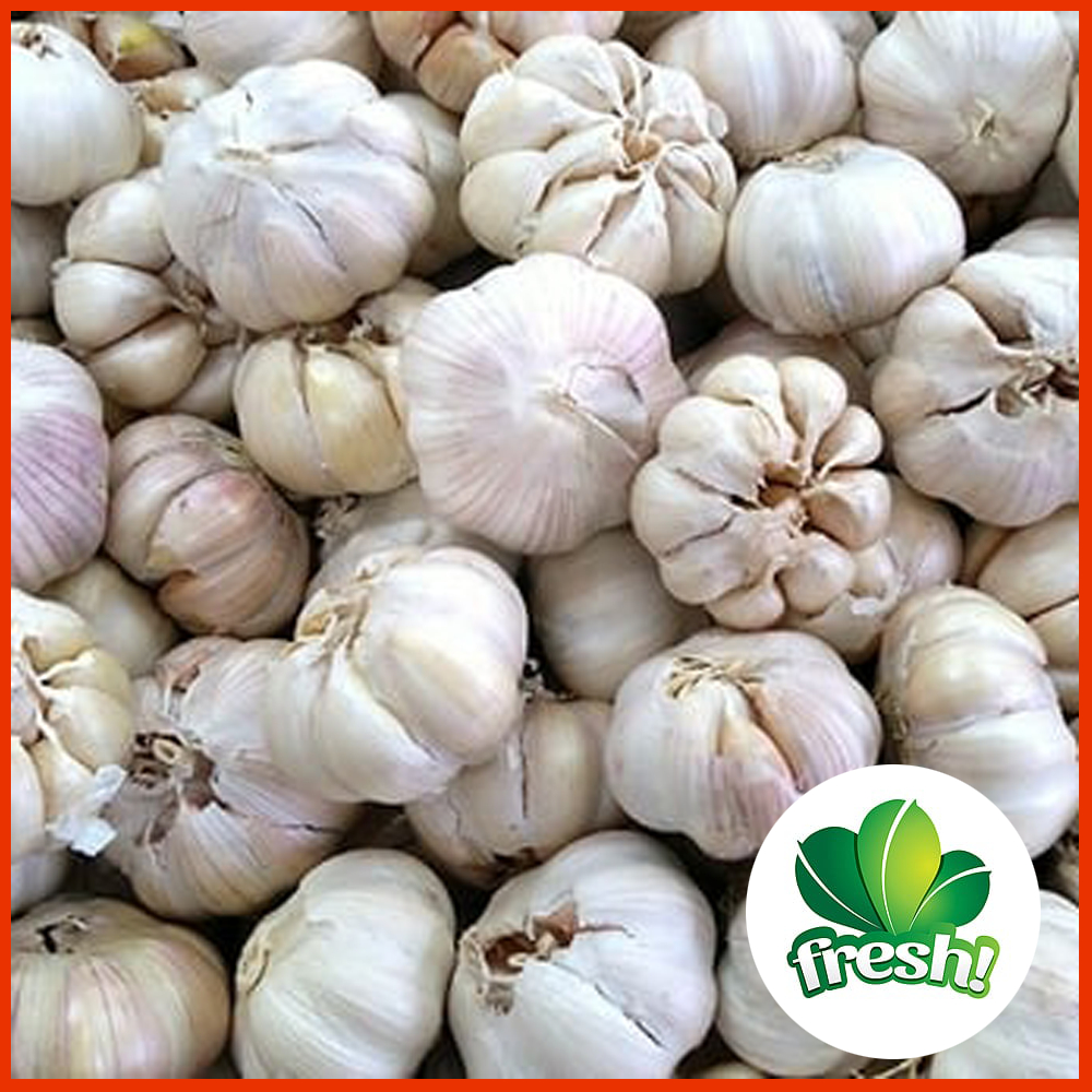 

Bawang Putih Kating kualitas grade A