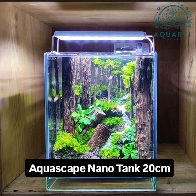 Hardscape Aquascape Nano Tank tema Hutan