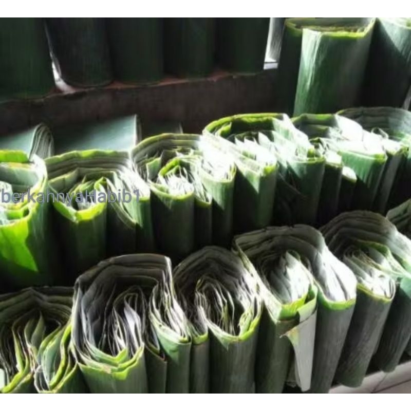 

Daun pisang murah asli lentur dan sudah di lap bagus untuk bungkus lontong makanan dll daun pisang fres dari pohon pisang warna hijau tua , daun pisang tua lentur murah , 98 % bersih dari debu atau kotoran