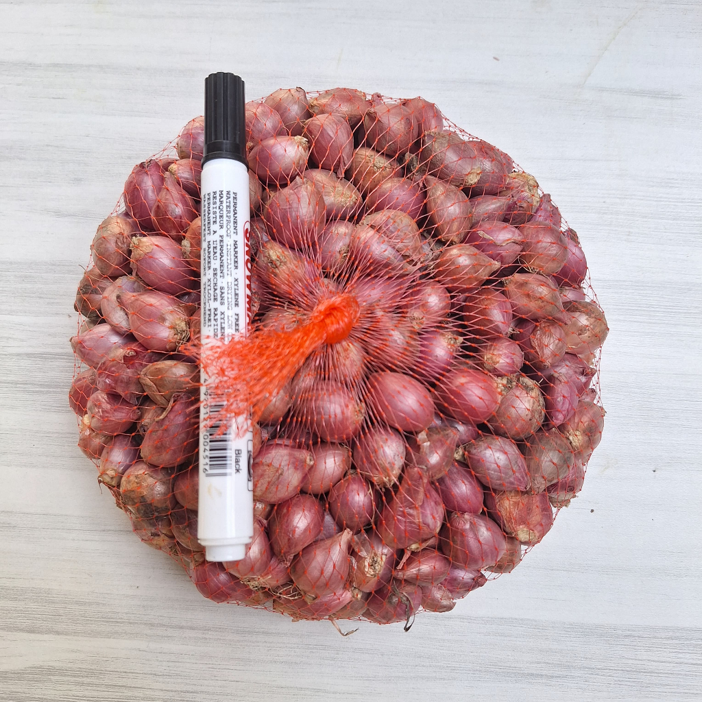 

Bawang Merah Sulawesi Ukuran Kecil Kering Bergaransi