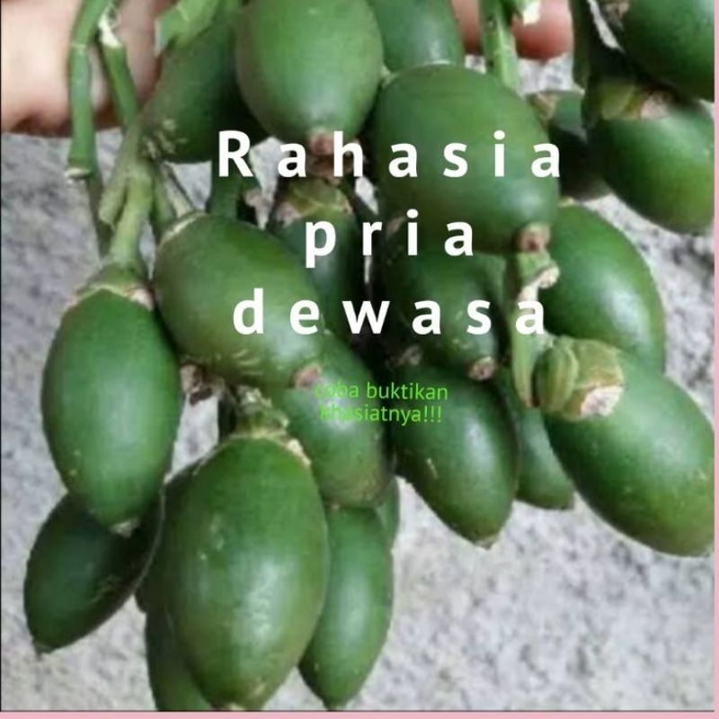 

Pinang Muda Segar | Kualitas Terbaik | Siap Konsumsi,Berat 1KG