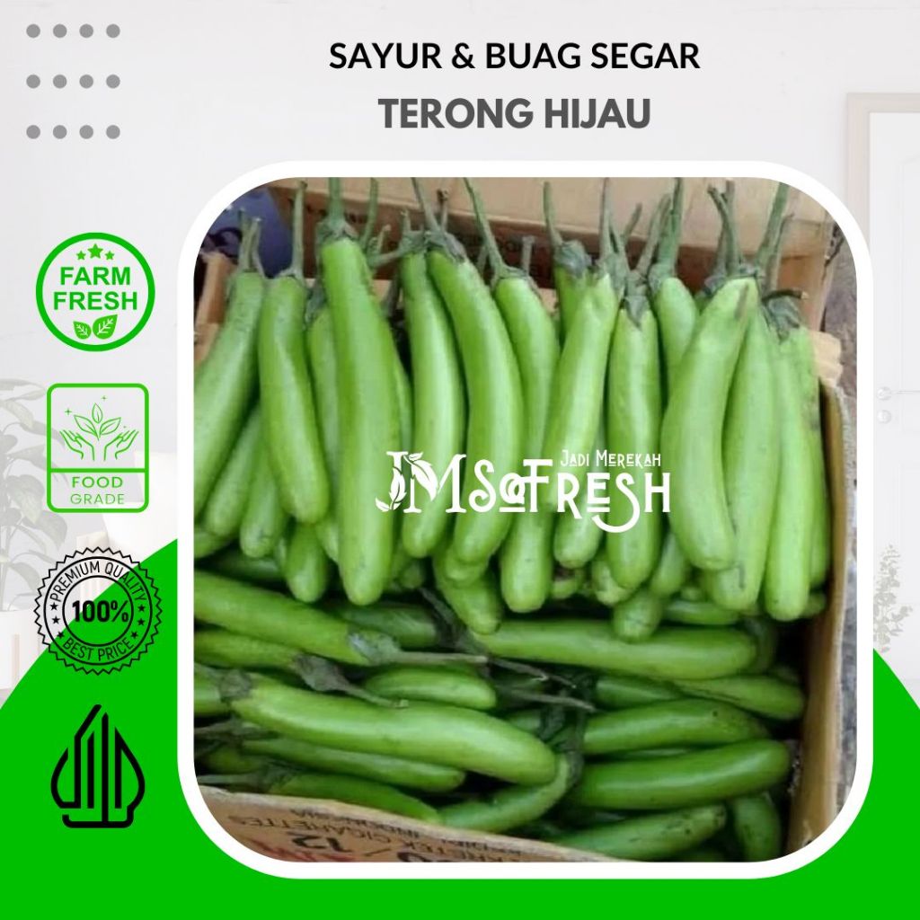 

[JM SoFresh] Terong Hijau 500 Gram Segar dan Fresh Organik / Green Eggplant 500 Gram