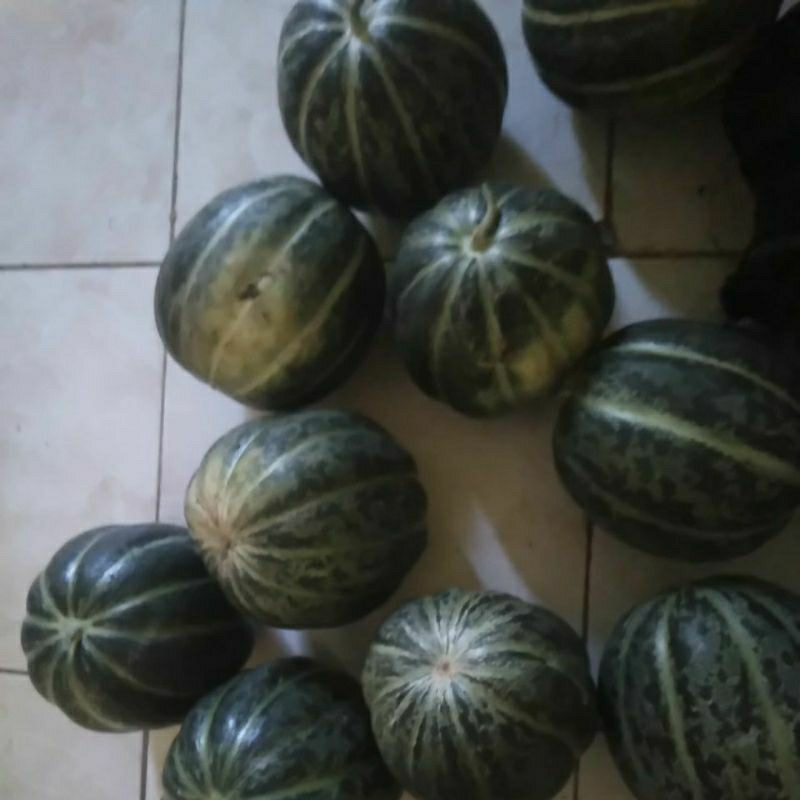 

Buah Belewah Blewah segar