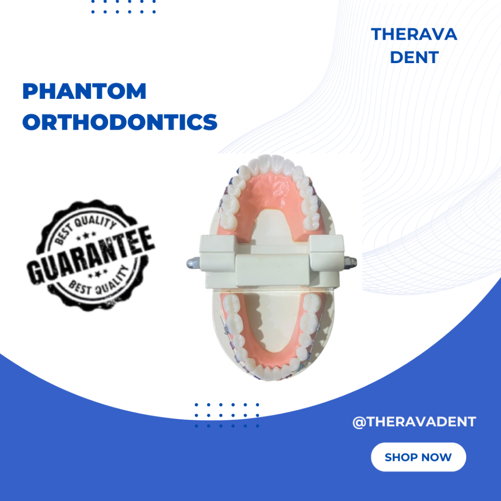 Phantom Orthodontics / Model Ortho Phantom Gigi Behel