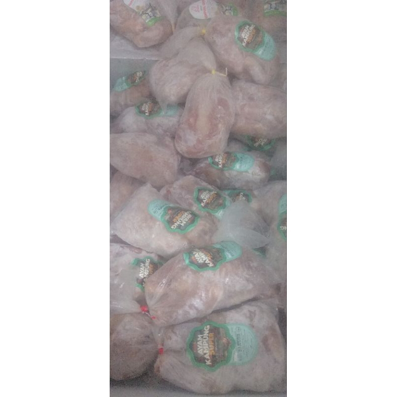 

berkah ayam kampung fress 900-1kg
