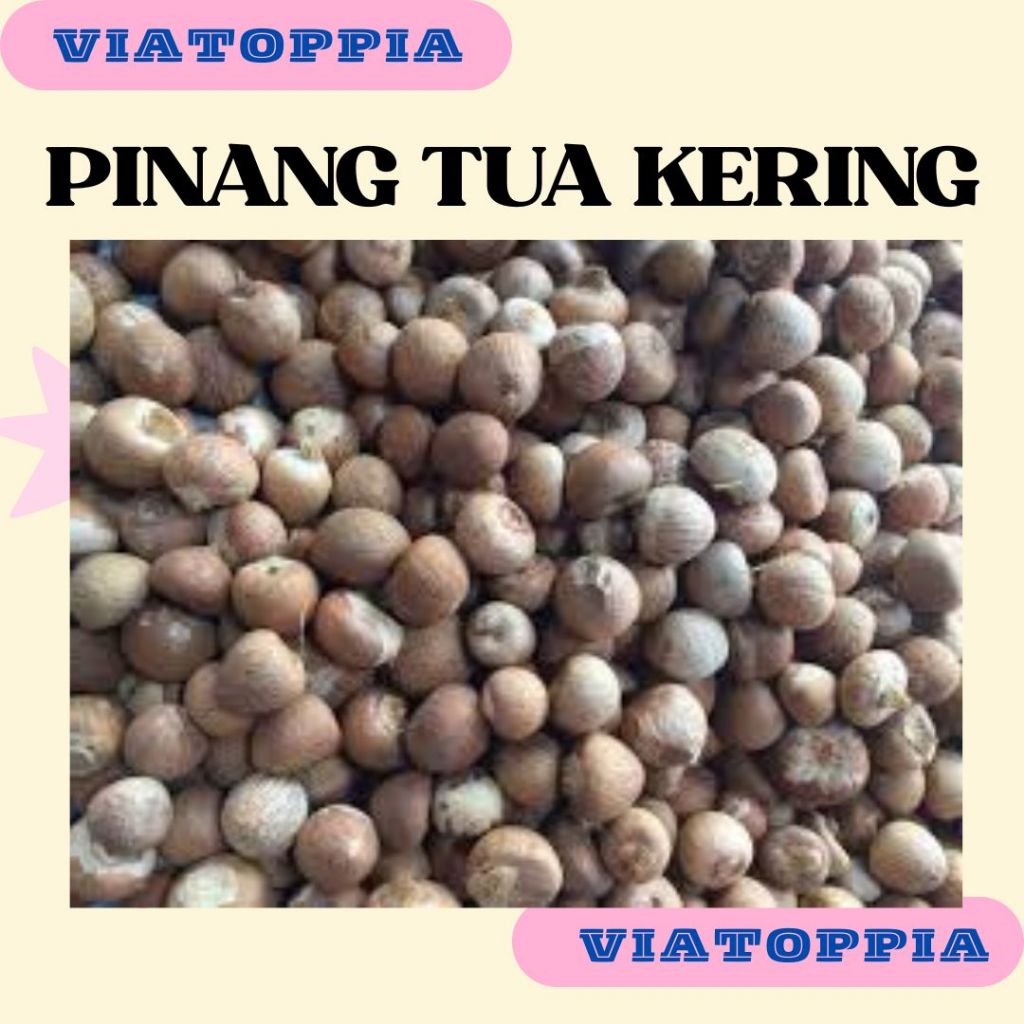 

PINANG TUA KERING