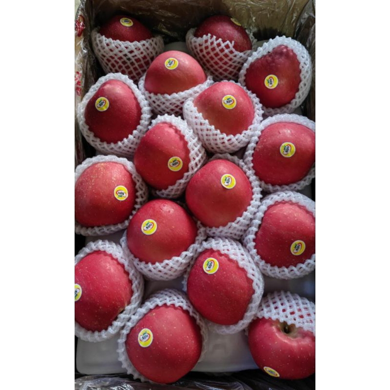 

apple fuji blush alfa/ appel merah/ apple fuji