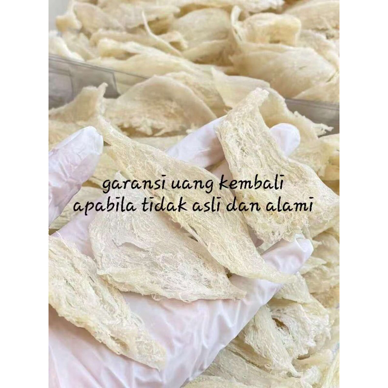 

Sarang Burung Walet Patahan Krem Bersih Proses Alami Natural 100 gram