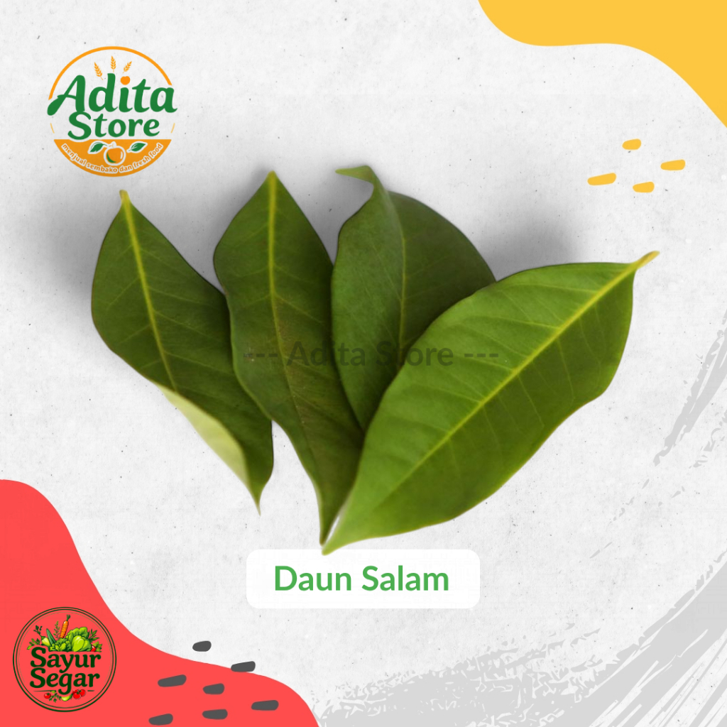 

Adita Store | Daun Salam Fresh 1 Pack