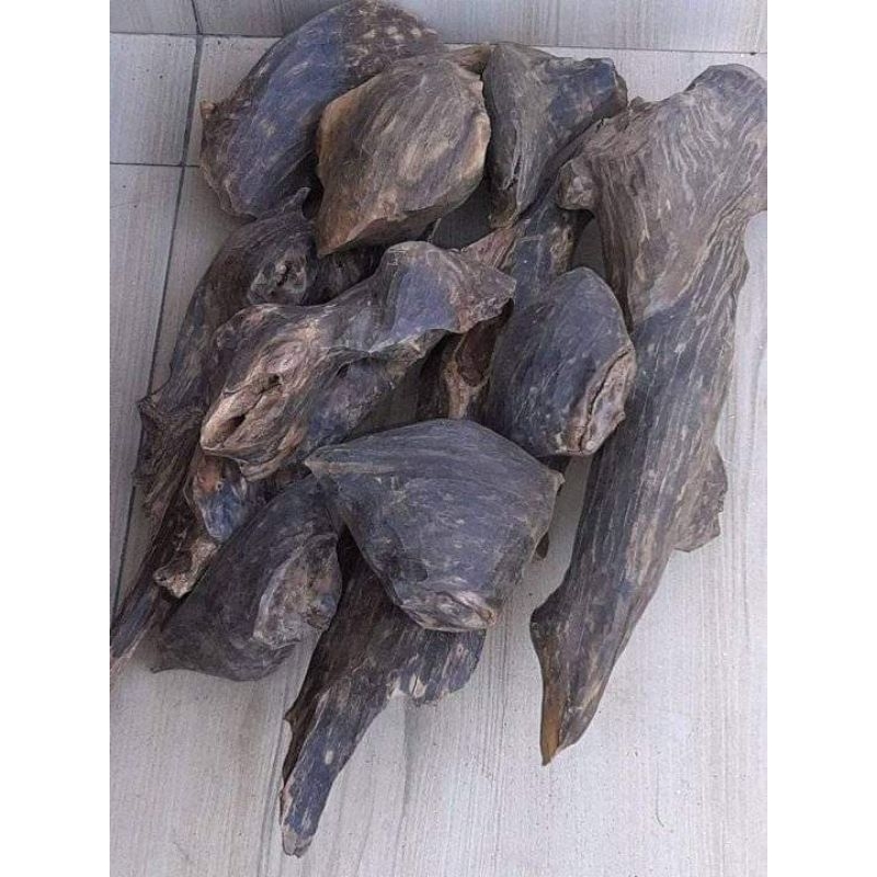 kayu galih gaharu super grad a berkualitas