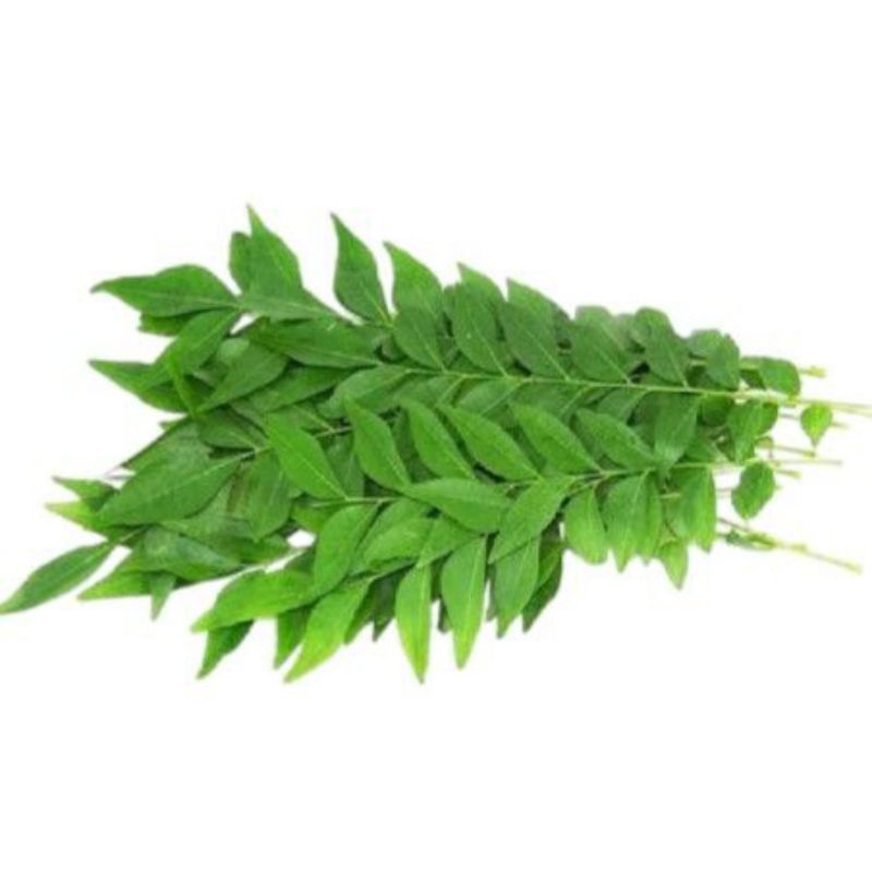 

Daun Kari Organik Segar (10 tangkai)