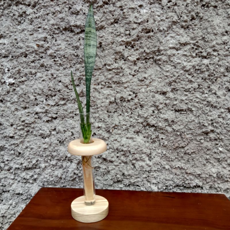 Vas Bunga Aesthetic Tanaman Air Botol Transparan Holder Kayu
