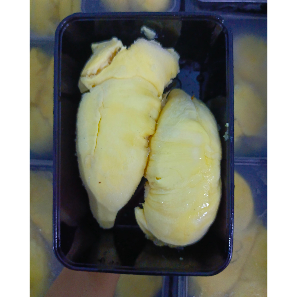 

DURIAN MONTHONG BOX HITAM