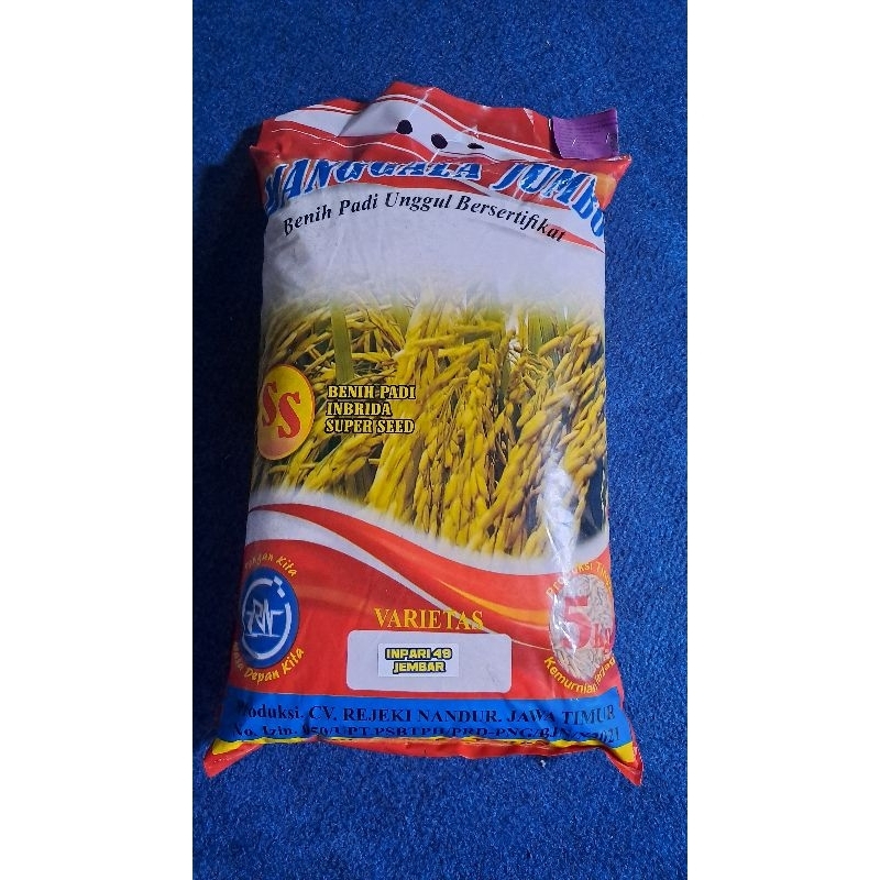 

BENIH PADI INPARI 49 JEMBER