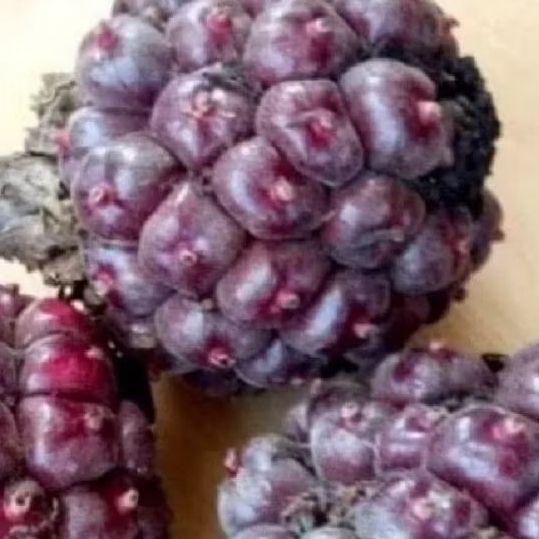 

buah honje merah honje laka 1 kg