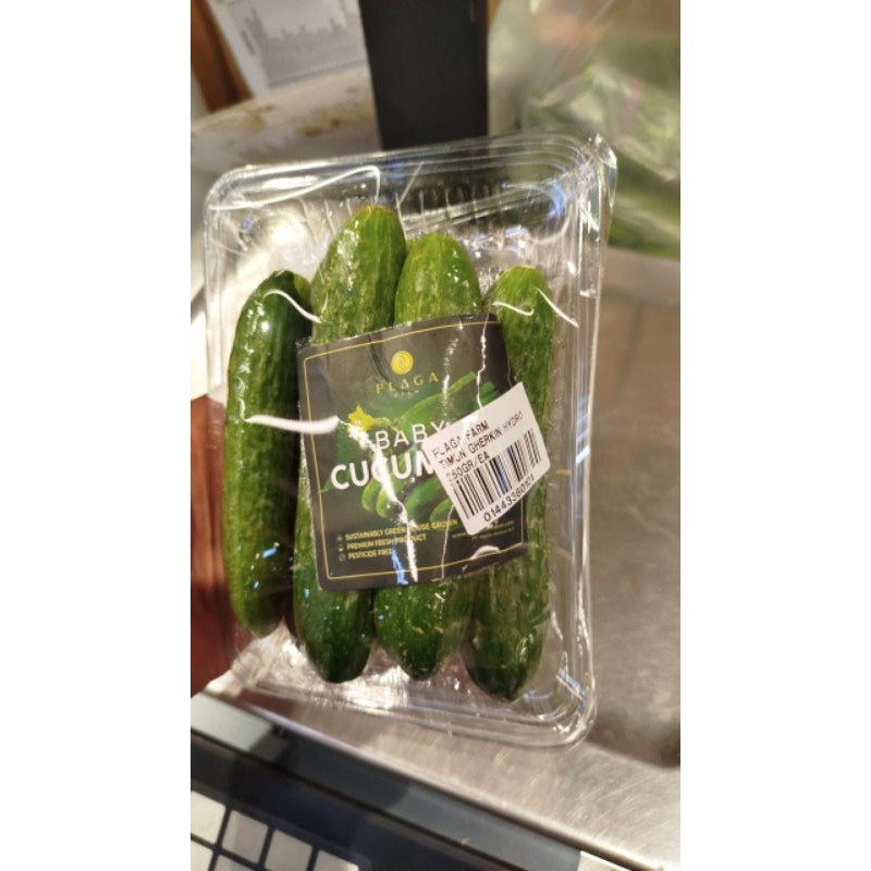 

Timun baby cucumber mini pack 250 gram