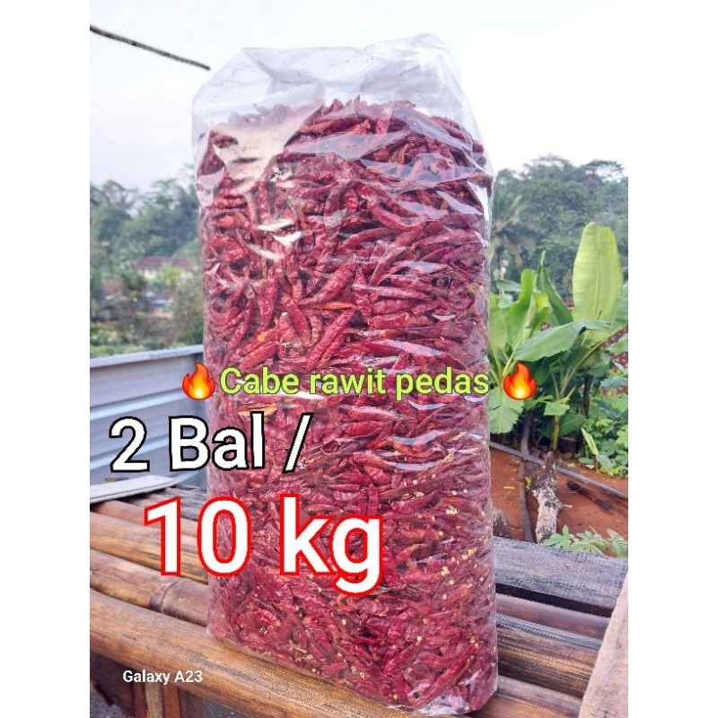 

[10 KG] Cabe Rawit Teja Super Pedas / Kemasan 10Kg/ Murah - Merah