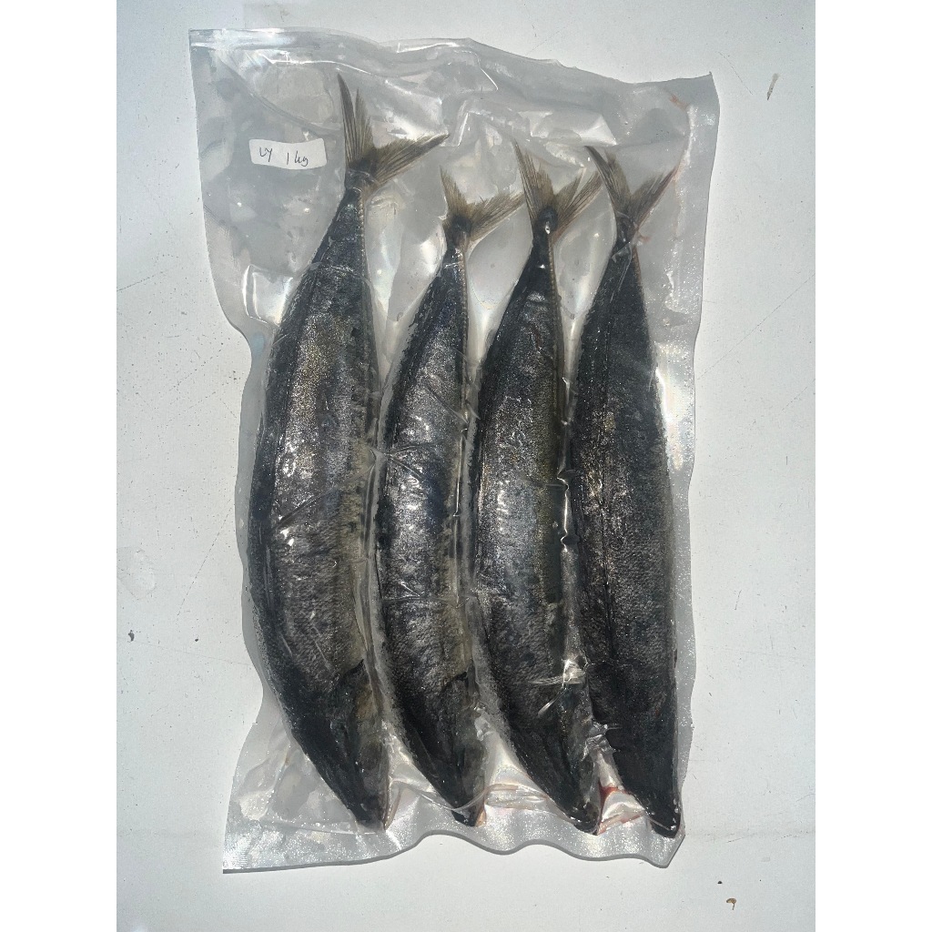 

RB Ikan Layang 1 kg Frozen Kualitas Segar