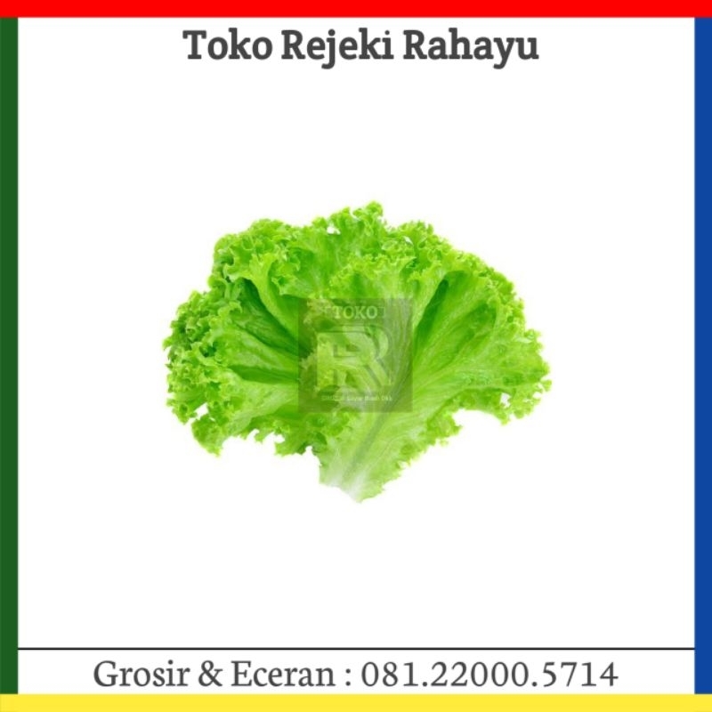 

Selada Hijau ( Andewi ) +-250gr