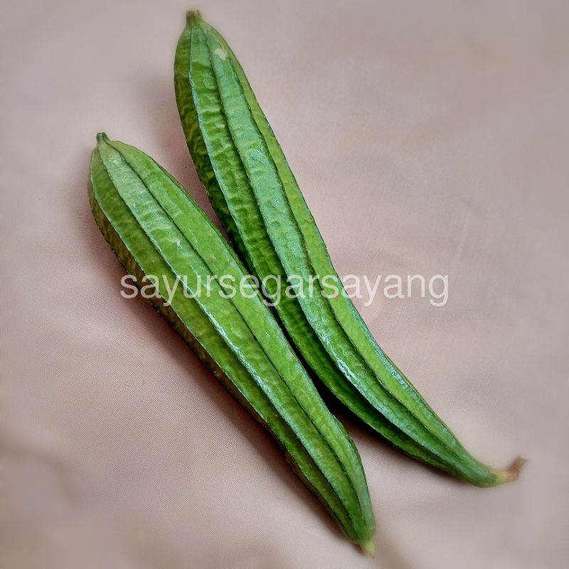 

Oyong 500gr