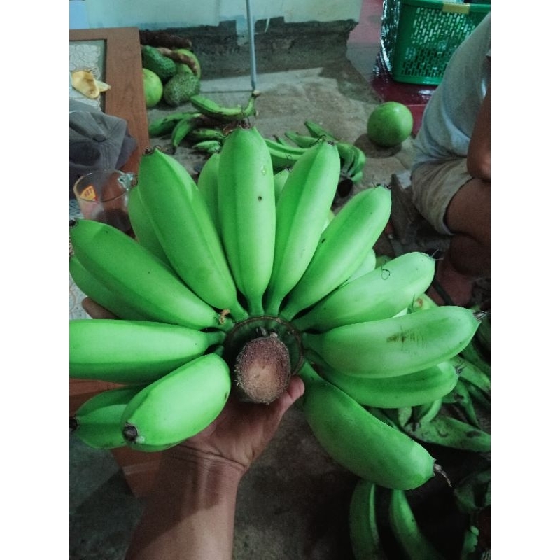 

pisang emas/Kirana 1 kg