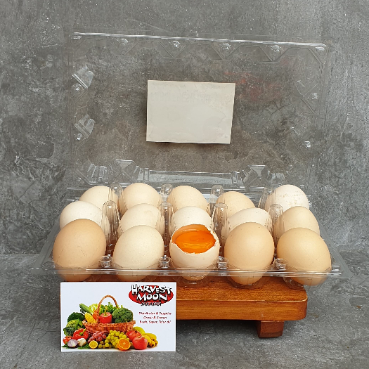 

HarvestMoon Telur Ayam Kampung Omega 3 Merah Per Tray