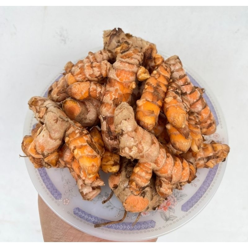 

Kuyit / Kunir