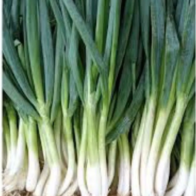 

Daun Bawang 250 gram