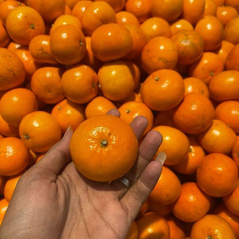 

Jeruk Wokam Fresh 1kg