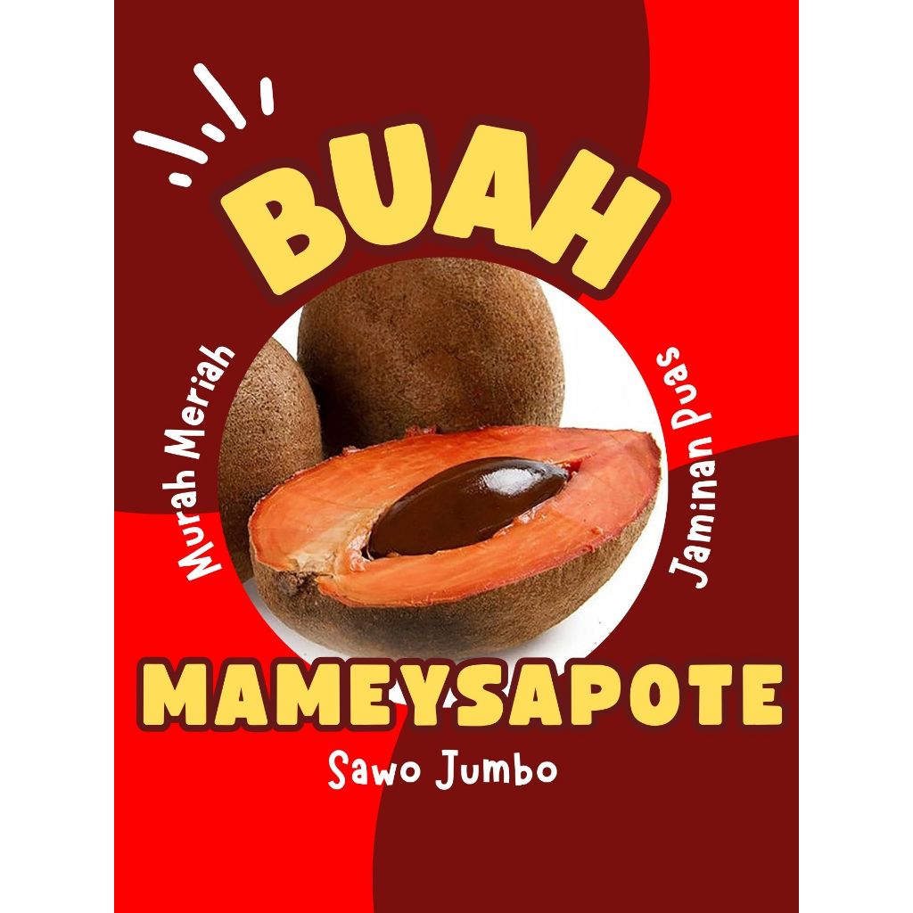 

TERLARIS !! Buah Sawo Jumbo Mameysapote, Buah Unik Sawo Jumbo