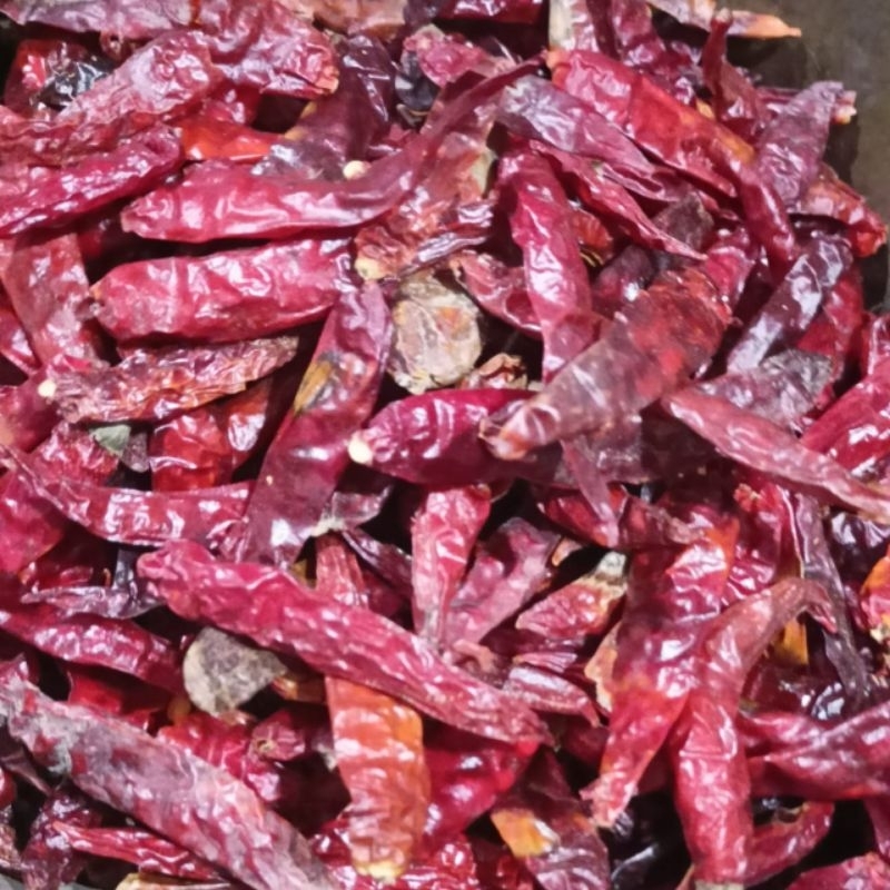 

Cabe Kering India – Pedasnya Lebih Serius!