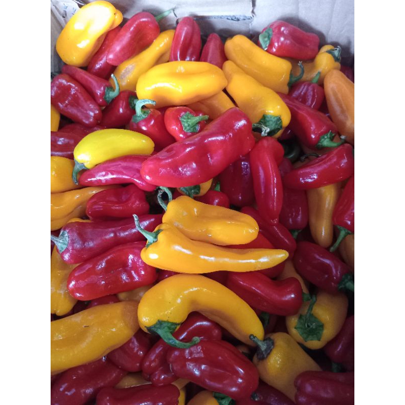 

Cabai pedas manis Segar (sweet pepper) - 250gram
