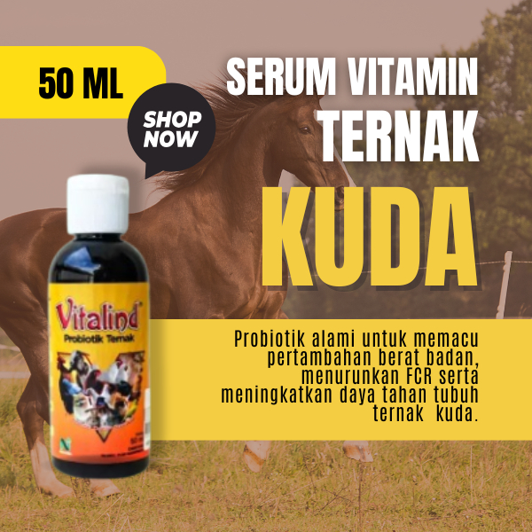 vitamin ternak kuda vitamin kuda pacu  vitamin kuda vitamin kuda agar cepat produktif vitamin kuda k
