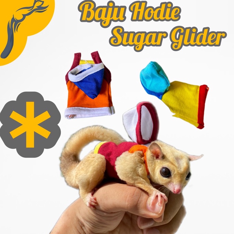 KODE A22S Baju Sugar Glider Jantan Hodie Sugar Glider Hamster Jaket Sugar Glider Topi Sugar Glider P