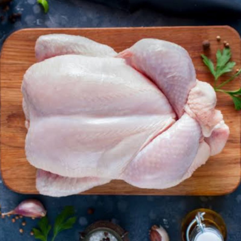 

Ayam 1 Ekor