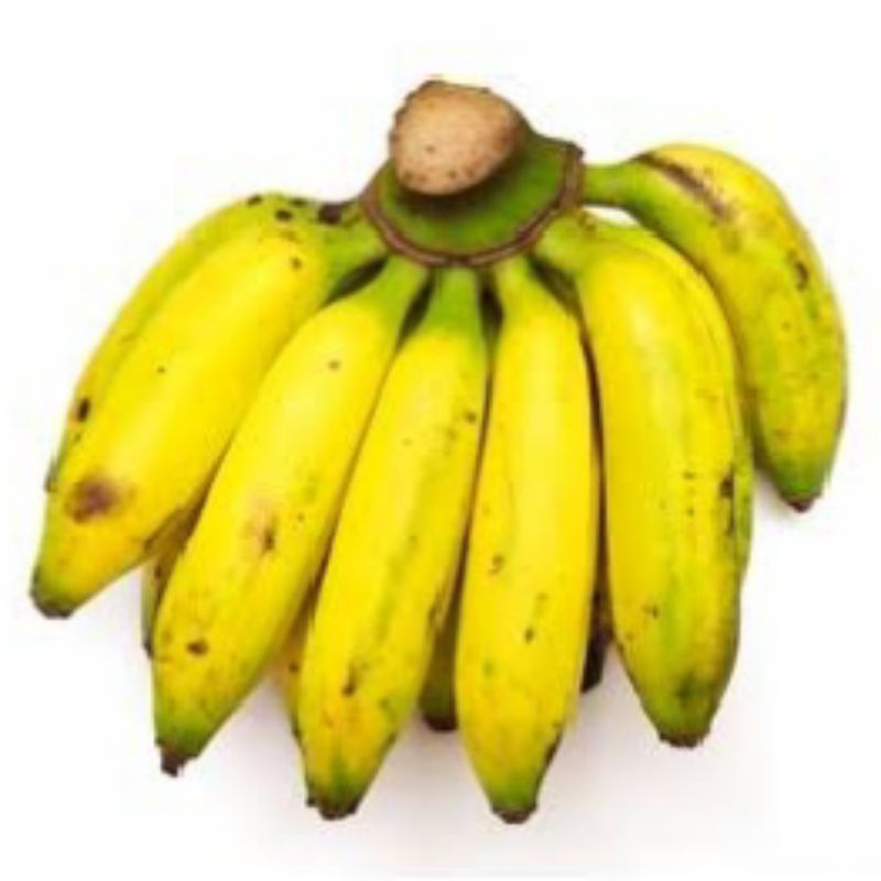 

Pisang Uli 1 KG / 1 Sisir