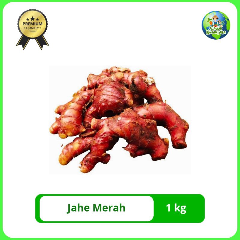

Jahe Merah Segar [1 kg/500g] kualitas ekspor Murah COD