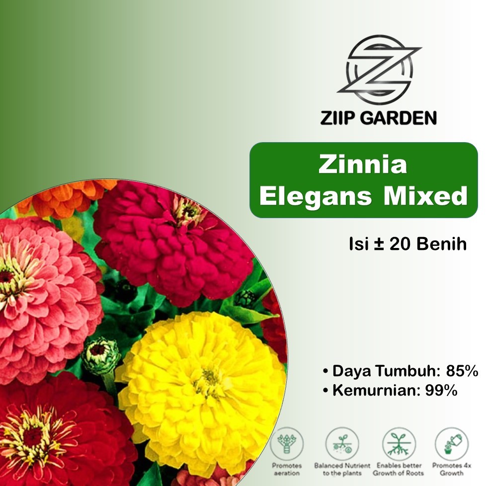 Benih Bunga Zinnia Elegans Liliput Tumpuk Mixed