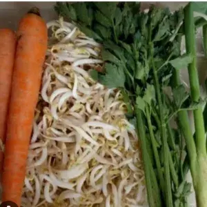 

Paket sayur toge