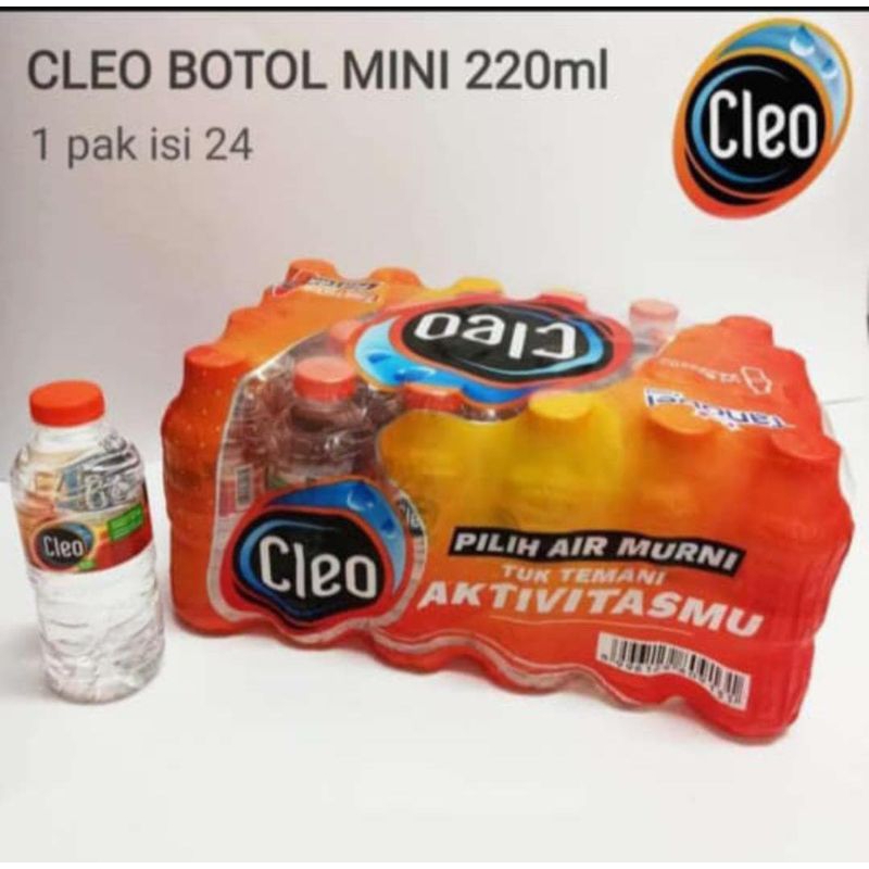 

Minuman Cleo 220ml