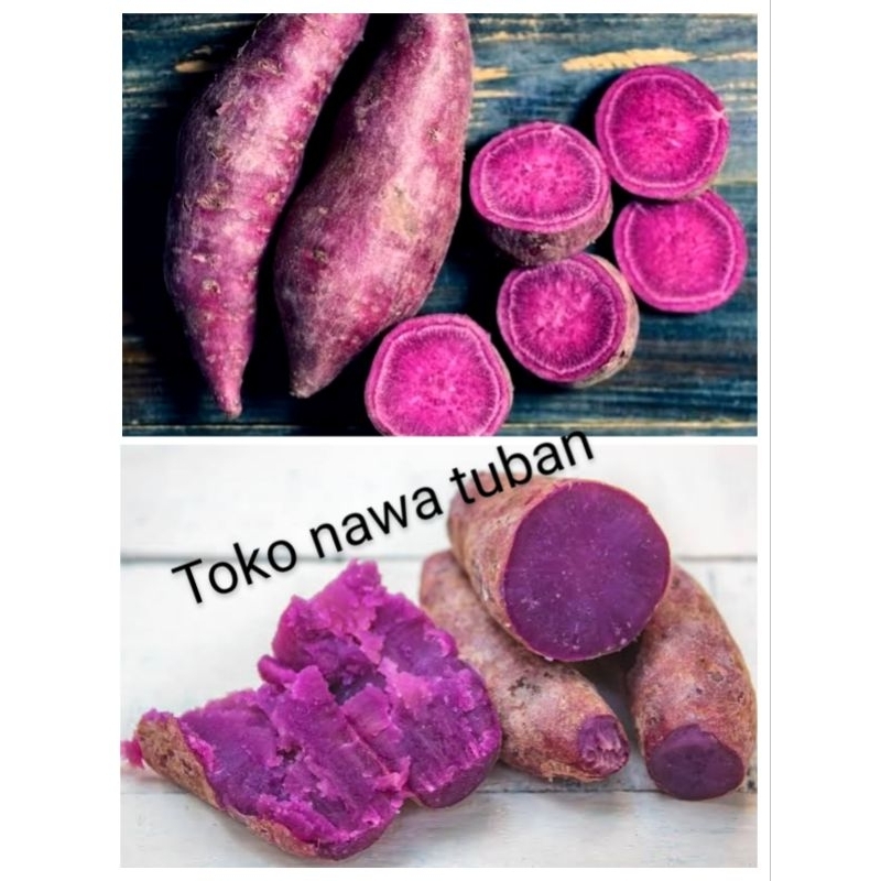 

ketela ungu 1kg umbi ungu 1000gram