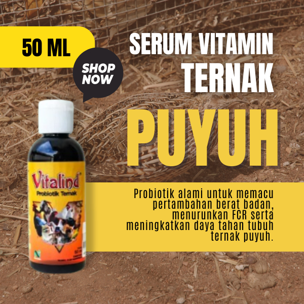 Vitamin ternak puyuh  vitamin burung puyuh   vitamin burung puyuh petelur  vitamin burung puyuh 1 pa