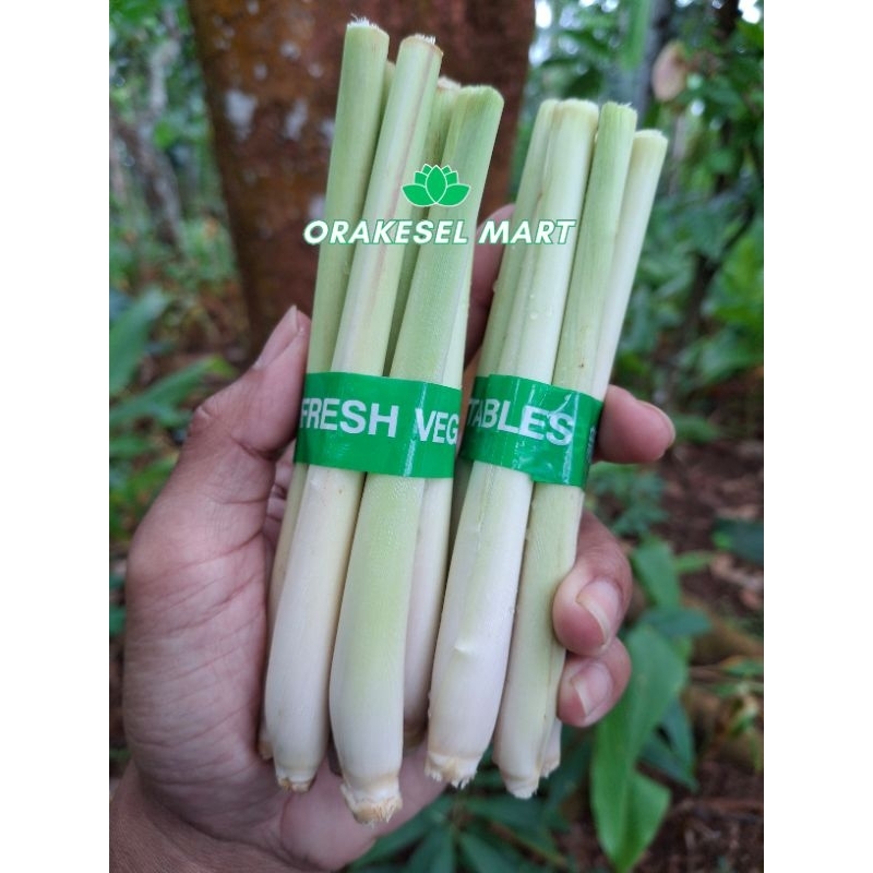 

Sereh muda fresh dari pegunungan 2 ikat