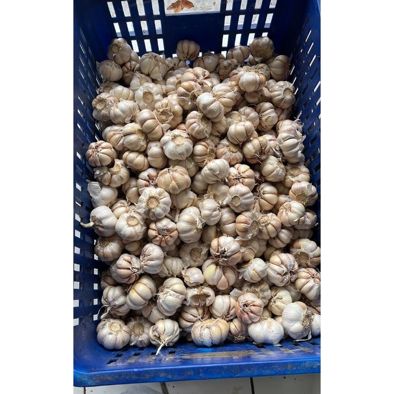 

bawang putih super bersih 1000 g