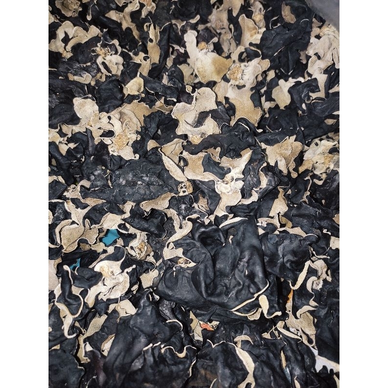 

Jamur kuping kering 1kg Grade A sudah disortir buruan gercep!!