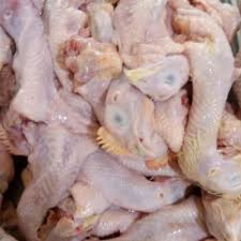 

Kepala ayam Segar Batam per kilogram