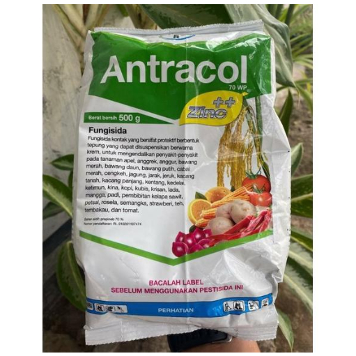 Antracol 70 Wp 500 Gr - Antracol 500 Gram