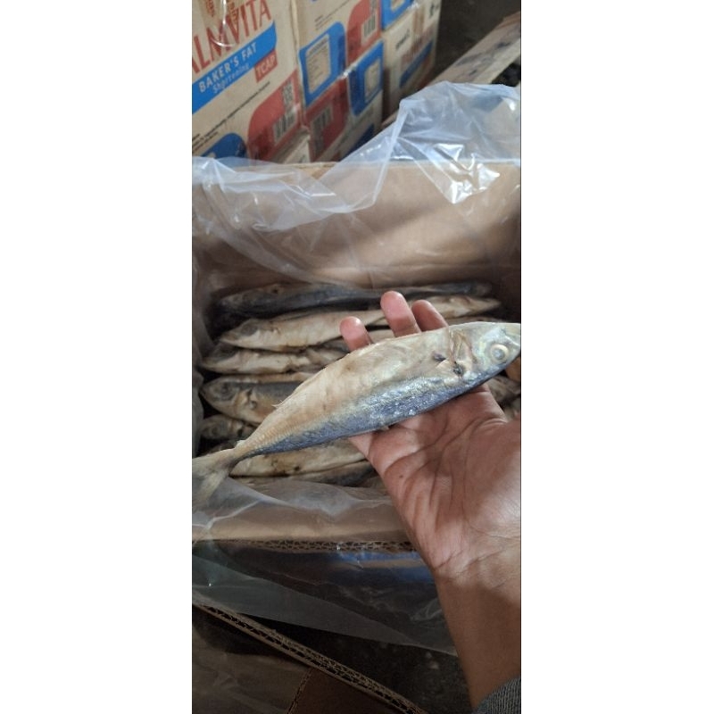 

layang asin,klotok asin cop super ,1kg